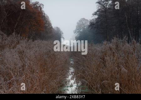 The Rain falling in a barren ditch next to tall brown grass Stock Photo