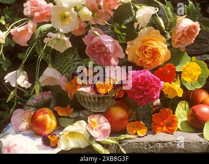 botany, vintage roses, pansies, nasturtium, Eustoma grandiflorum in vases on a slate shelf outdoors., ADDITIONAL-RIGHTS-CLEARANCE-INFO-NOT-AVAILABLE Stock Photo