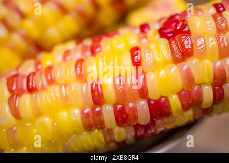 A Corn kernel on a shiny spoon Stock Photo