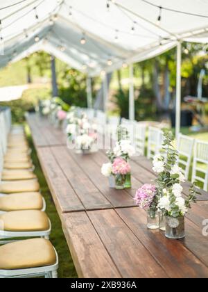 An event large tent decorated with light bulbs and flowers on a large wood table Stock Photo
