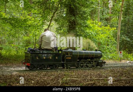 A train driver sits on a stationary minature narrow gauge steam train in woods at Ingfield Manor School, Five Oaks, West Sussex, UK. Stock Photo