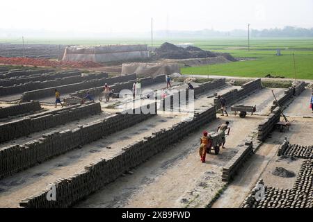 Soil mud bricks in an open field are left to dry in the sun before being burned in traditional kilns, Bangladesh Stock Photo