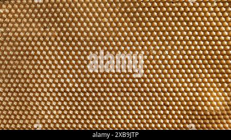 Honeycomb close-up. Reticulated hexagon. Stock Photo