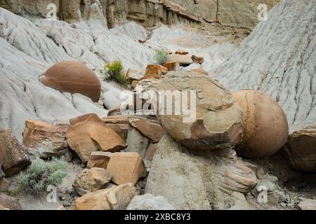 Cannonball concretions, sandstone caprocks, bentonite clay at Cannonball Concretions Pullout in Theodore Roosevelt National Park, North Dakota, USA Stock Photo