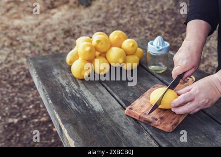 A woman cuts fresh lemons with a knife on a wooden table in the field with a pile of lemons and a juicer in the background Stock Photo