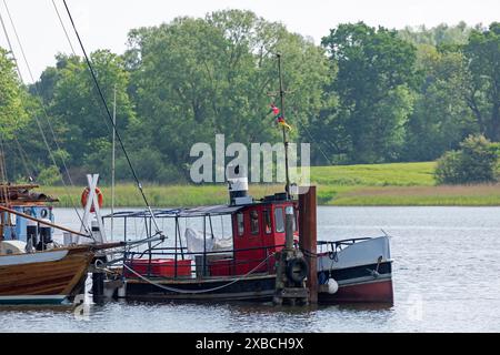 Boats, museum harbour, Kappeln, Schlei, Schleswig-Holstein, Germany Stock Photo