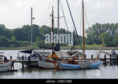 Boats, museum harbour, Kappeln, Schlei, Schleswig-Holstein, Germany Stock Photo