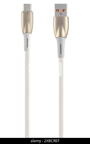 USB and Type-C cable, on white background in insulation Stock Photo