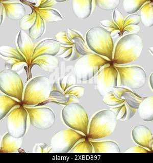 Seamless pattern with plumeria and frangipani flowers. A hand-drawn watercolor illustration. On a gray background. For textiles, wallpapers and backgr Stock Photo