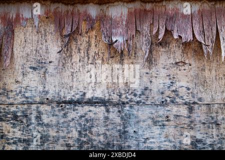 Weathered wall with peeling paint, aged siding, and visible nails Stock Photo