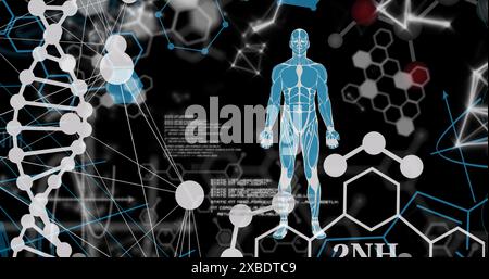 Image of dna strand, scientific data processing and human body Stock Photo