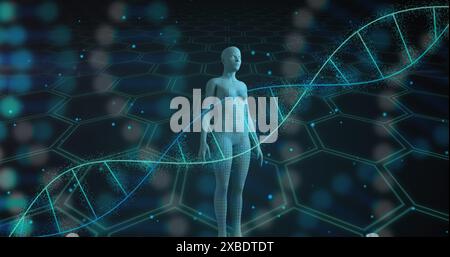 Image of dna strands, scientific data processing and human body Stock Photo