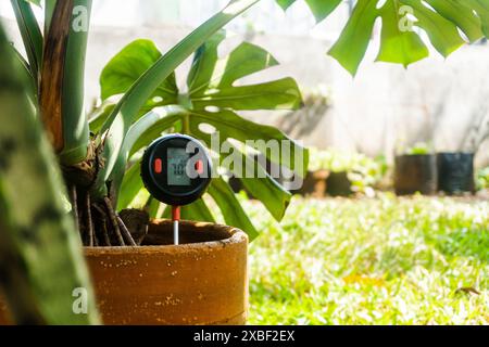 PH meter tester in soil. Measure soil acidity and moisture with digital device Stock Photo