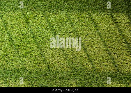 artificial green grass texture background, Top view of grass garden, with the shadow of fence Stock Photo