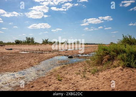 Mozambique, Gaza, Mapai, Limpopo River At The End Of Rainy Season And 