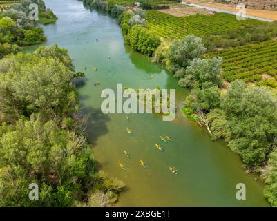 Kayaks on the Ebro River on a kayak descent of the Plataforma en Defensa de l'Ebre as it passes through an island (Tarragona, Catalonia, Spain) Stock Photo