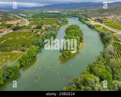 Kayaks on the Ebro River on a kayak descent of the Plataforma en Defensa de l'Ebre as it passes through an island (Tarragona, Catalonia, Spain) Stock Photo