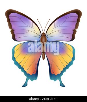 butterfly insects wildlife animals vector illustration isolated on white background Stock Vector