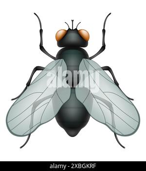 set insects wildlife animals vector illustration isolated on white ...