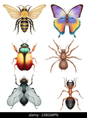 set insects wildlife animals vector illustration isolated on white background Stock Vector