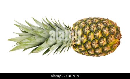 pineapple path isolated on white Stock Photo