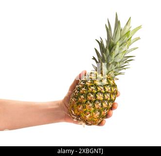 pineapple in hand path isolated on white Stock Photo