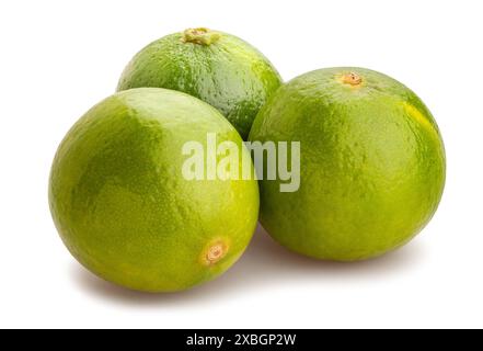 lime path isolated on white Stock Photo