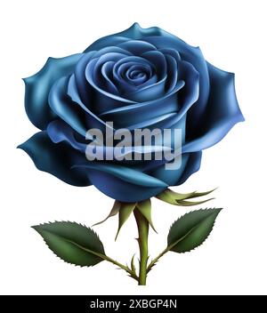 beautiful rose realistic drawing vector illustration isolated on white background Stock Vector