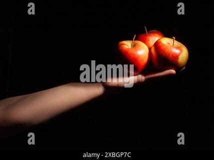 apple group in hand on black background Stock Photo