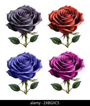 beautiful rose realistic drawing vector illustration isolated on white background Stock Vector