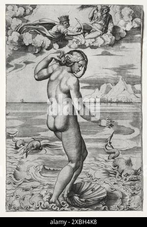 vintage artwork The Birth of Venus , c. 1516. Marco Dente (Italian Stock Photo