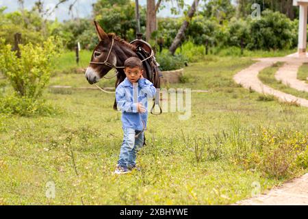 lifestyle: boy with down syndrome walks in the field herding his favorite donkey Stock Photo