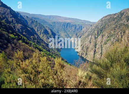 Cañones del Sil. Ribeira Sacra, Orense province, Galicia, Spain. Stock Photo