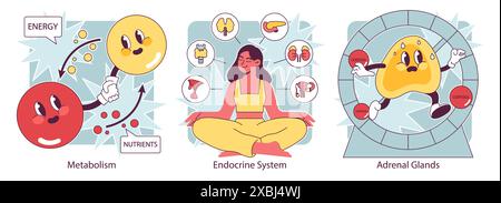 Endocrine system organs and disease set. Human glands function ...