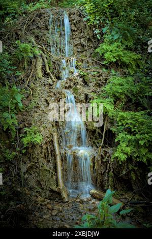 A small waterfall cascades down a rocky slope, surrounded by green vegetation.  Stock Photo