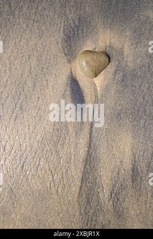 A heart-shaped rock rests on the sunbathed beach in Florida, its contours kissed by sunlight, adding a touch of romance to the coastal scene. Stock Photo