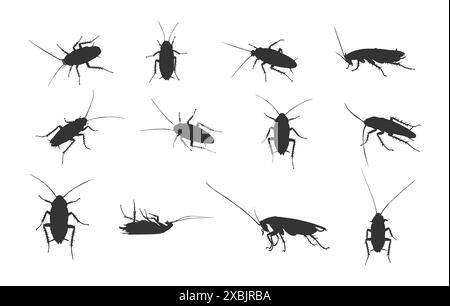 Cockroach silhouettes, Cockroach silhouette set, Cockroach icon, Dead cockroach silhouette, Cockroach vector. Stock Vector
