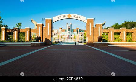 Clemson, SC - June 8, 2024: Clemson Tiger Walk in front of Memorial Stadium on the Clemson University Campus Stock Photo