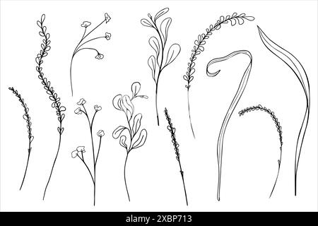 Botanical set delicate foliage and small flowers black white vector line illustration isolated. Various abstract leaves and stems outline hand drawn Stock Vector