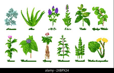 Set of medical green grasses herbs and plants, realistic vector illustration close-up Stock Vector