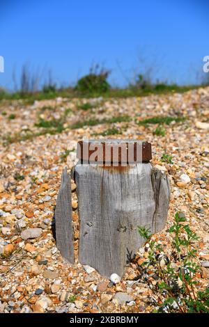 Groyne on the beach Stock Photo