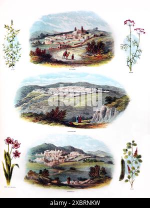 Illustrations of Biblical Places Bethany, Jerusalem and Nazareth from Antique 19th Century Brown's Self-Interpreting Family Bible Stock Photo