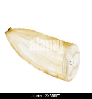 Banana watercolor. Half a peeled exotic fruit. Clip art isolated on white background realistic hand drawn drawing. Ideal for menus, vegan recipes and Stock Photo