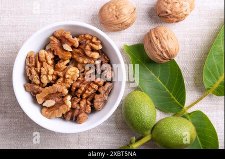 Walnut halves in a white bowl on linen fabric. Shelled, dried walnut kernels, ripe seeds of the common walnut tree. Stock Photo