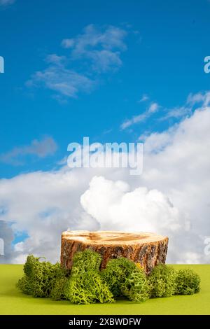 natural style. Wooden saw cut, round podium with green moss on a blue sky background. Still life for the presentation of products. Copy space, vertica Stock Photo