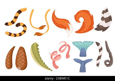 Collection of animal tails simple cartoon style design vector illustration isolated on white background Stock Vector