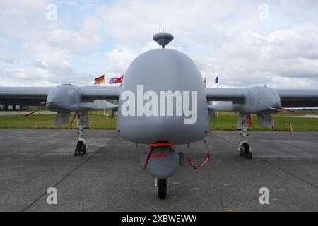 Jagel, Germany. 11th June, 2024. A Swiss Air Force F-18 fighter jet ...