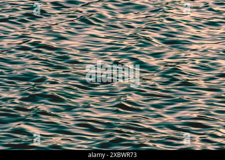 Water surface, quiet sea at sunset. Abstract seascape background, copy space Stock Photo