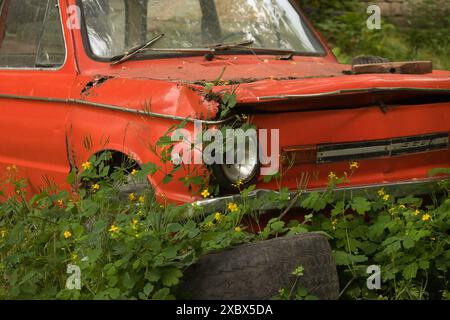 an abandoned red old car stands on an abandoned area overgrown with ...