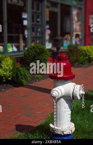 A patriotically painted fire hydrant stands in front of shops on Columbia Street in the quaint suburb near Cleveland. Stock Photo